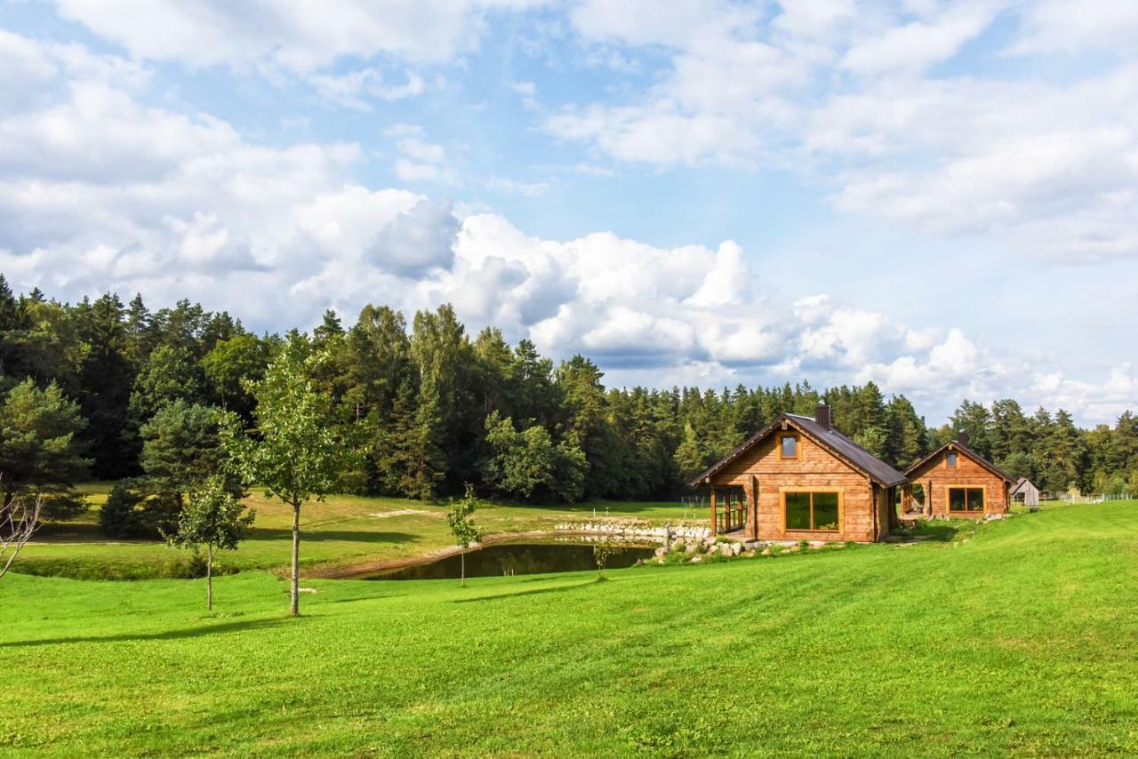 Vip Forest Dreams Villa Anykščiai Exterior foto